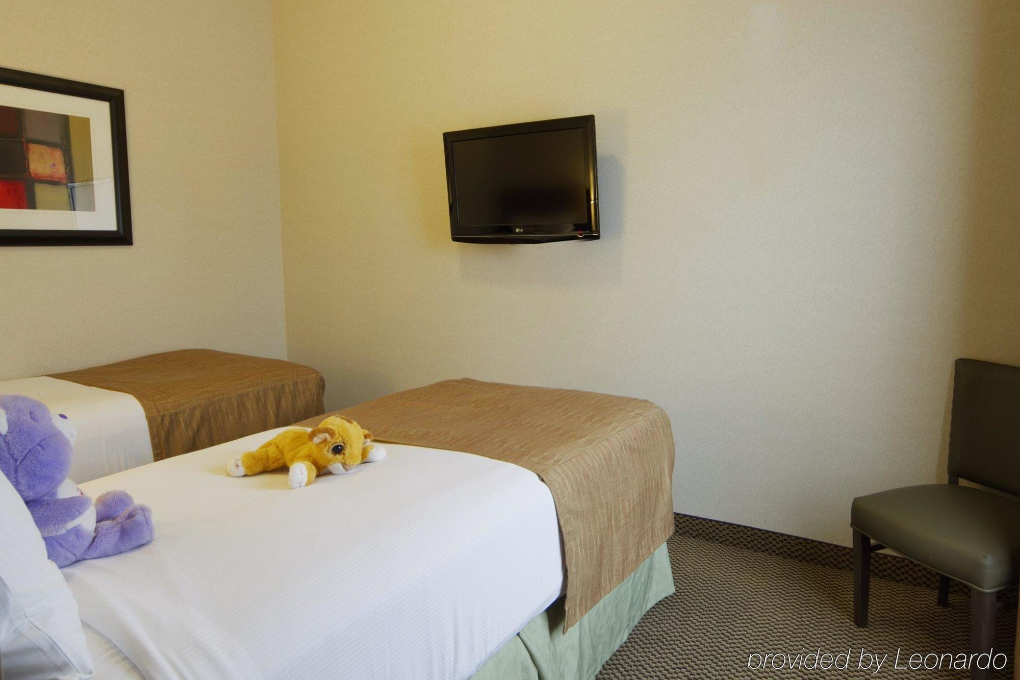 Best Western Wainwright Inn & Suites חדר תמונה